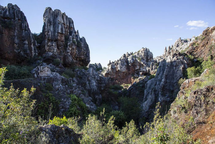 Programa para la Participación y Sensibilización Ambiental de la Sierra Norte de Sevilla