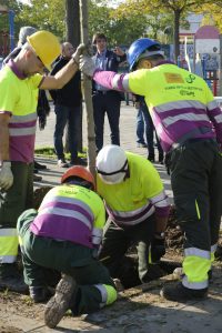 Plantación de árboles que en la barriada de los Pajaritos / Foto: Pepo Herrera.