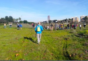 En el terreno de la reforestación, en el Charco de la Pava, en el límite con Tablada y junto al parque Vega de Triana.