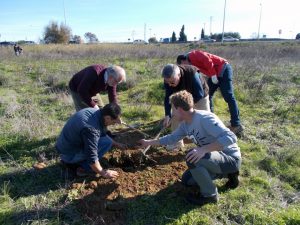 En la imagen, los voluntarios durante la reforestación participativa en el Charco de la Pava.