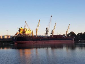 Rodopi atracado en Carbón Puerto. / Foto: Autoridad Portuaria de Sevilla.