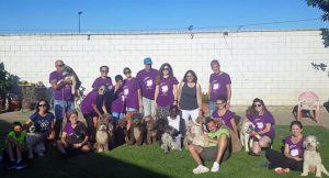 Una quedada de la Asociación con algunas de sus casas de acogida.