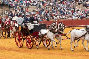 Exhibición de Enganches y paseo de carruajes por el Parque María Luisa este fin de semana