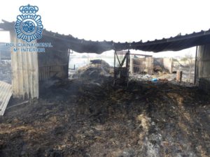 La Policía Nacional evita la muerte de al menos 15 caballos a consecuencia de un incendio en las caballerizas de los Jardines de Guadaíra