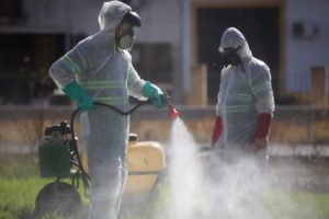 Labores de fumigación en Coria. Foto: Ayuntamiento de Coria.