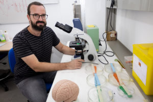 La Universidad Pablo de Olavide participa en el proyecto europeo NEUROTWIN, financiado con 4.485.736,25 euros en la última convocatoria FET Proactive