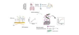 El IBiS desarrolla biosensores para detectar un hongo responsable de neumonía por Pneumocystis