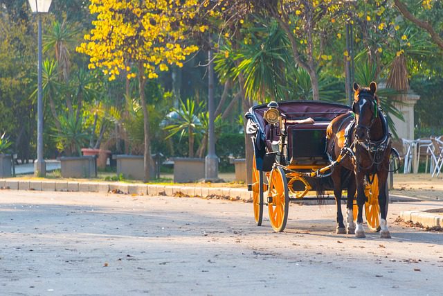 'A caballo regalado no le mires el diente', una iniciativa de los hosteleros y cocheros de caballos de Sevilla