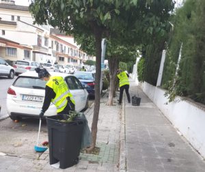 Tomares destinará las naranjas amargas a la producción de aceites esenciales