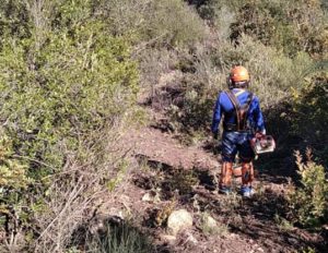 Coripe inicia la preparación del sendero 'Entre dos pueblos' que lo une a La Muela