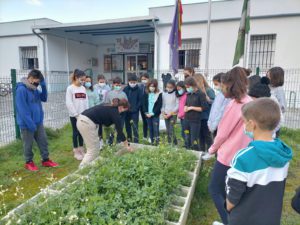 El colegio Cruz del Campo de Sevilla vence al coronavirus y logra otro Erasmus Plus