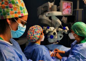 El Macarena exporta su conocimiento sobre Oncología Ocular a otros centros andaluces