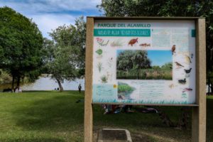 El parque del Alamillo celebra el Día del Medio Ambiente