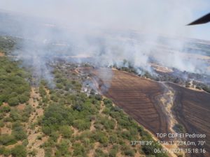 Extinguido el incendio forestal declarado en Lora del Río