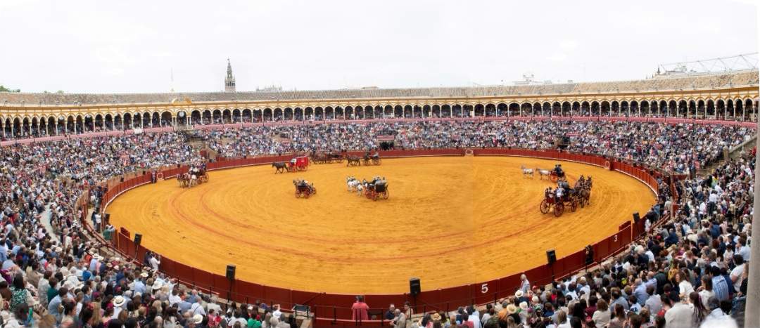 Más de cien enganches se darán cita en Sevilla entre del 24 al 26 de septiembre