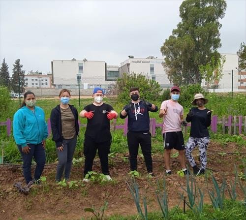 Concluye la IX edición del huerto social de Limam en Bellavista para personas desfavorecidas