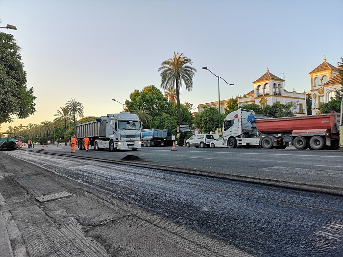 Avenida de la Palmera