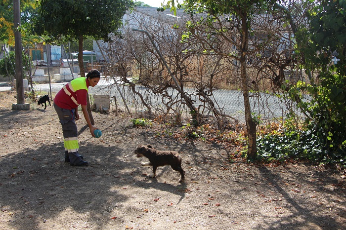 Centro de Protección y Control Animal