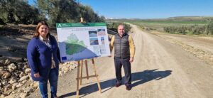 Obras de adecuación y mejora en una vía pecuaria de Arahal